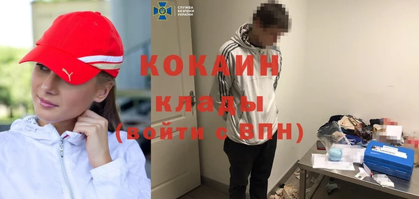 кокс Арсеньев