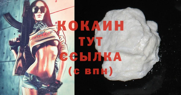 кокс Арсеньев