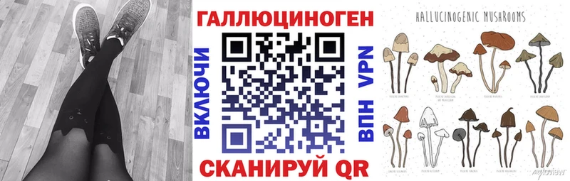 Галлюциногенные грибы Psilocybine cubensis  блэк спрут как войти  Удомля  купить  цена 